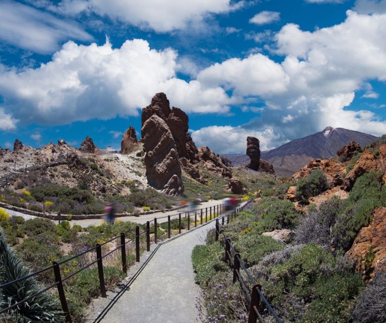 Tenerife: Teide National Park and Dolphins Sailboat Tour - Booking, cancellation, and practical value