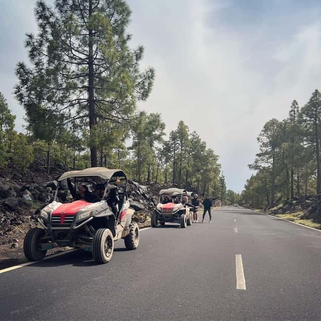 Tenerife: Teide National Park and Volcano Buggy Tour - Mirador de Los Poleos and the first big views