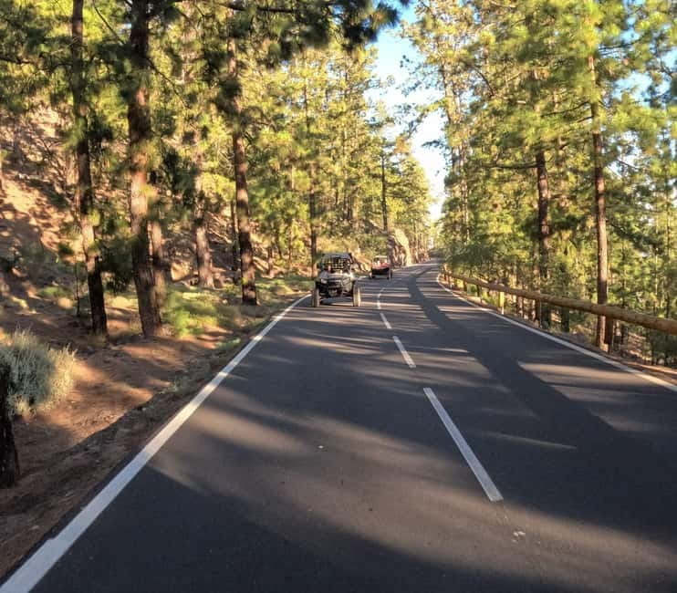 Tenerife: Teide National Park and Volcano Buggy Tour - Weather, timing, and the sunset option