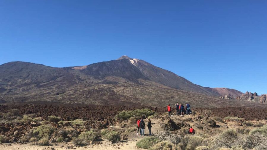 Tenerife: Teide National Park Buggy Tour with Hotel Transfer - What the $211 price really covers