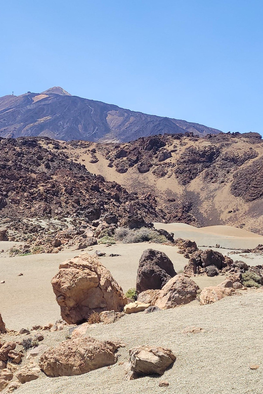 Tenerife: Teide National Park Buggy Tour with Hotel Transfer - Who will enjoy this most