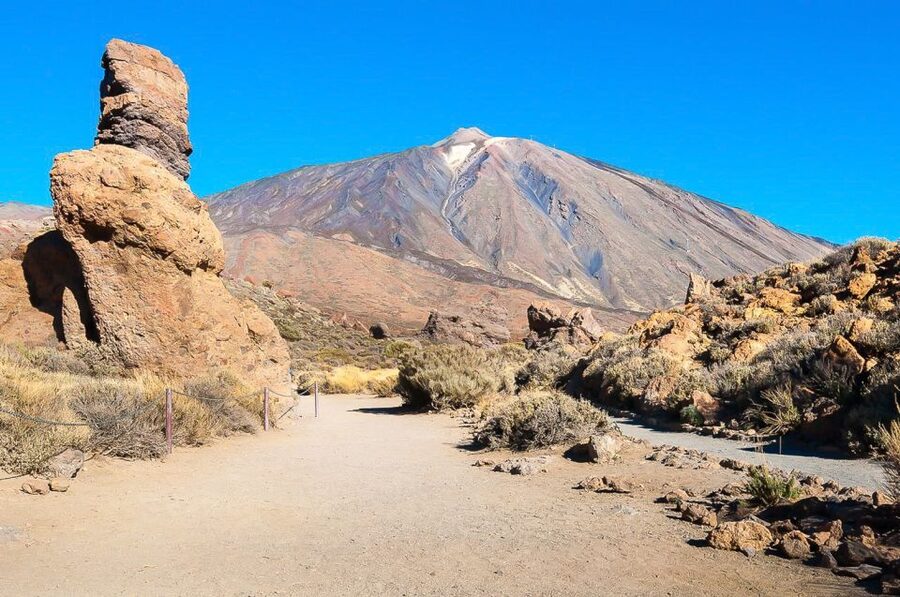 Tenerife: Teide National Park Full-Day Tour with Pickup - Icod de los Vinos, wine, and the old drago tree