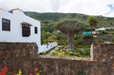 Tenerife: Teide National Park Full-Day Tour with Pickup