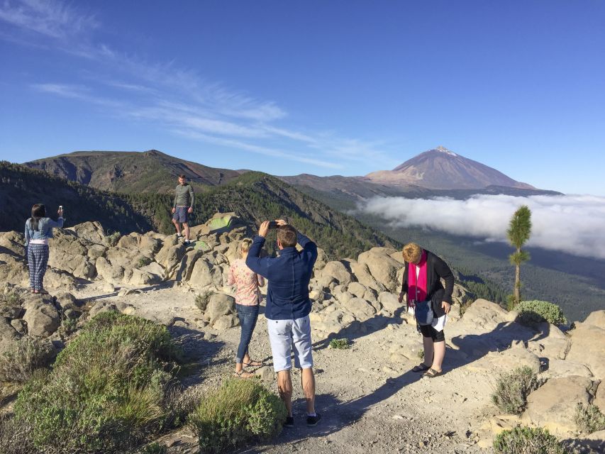 Tenerife: Teide National Park & Teno Rural Park Private Tour - Should you book the Teide and Teno private tour?