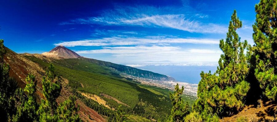 Tenerife: Teide National Park & Teno Rural Park Private Tour - The lunch break, restaurant or picnic