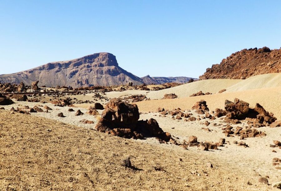 Tenerife: Teide National Park & Teno Rural Park Private Tour - Who will get the most from this day?