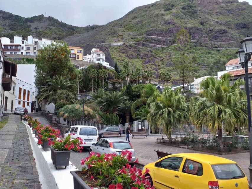 Tenerife: Tenerife Highlights beyond the Teide - Key points to know before booking