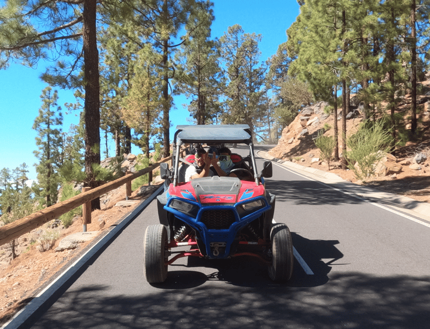 Tenerife: Volcano Teide Buggy Tour with Wine Tasting & Tapas - Group size, guides, and the feel of the outing