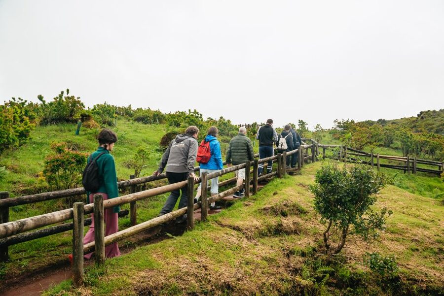 Terceira: Algar do Carvão Lava Caves Tour - Key points to know before you book