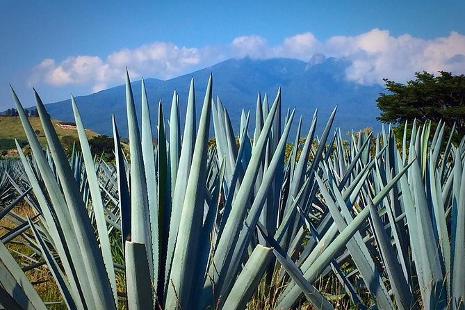 The Fire TOUR - Pyramids, Volcanoes, Agaves & Tequila - What to bring and how to prepare