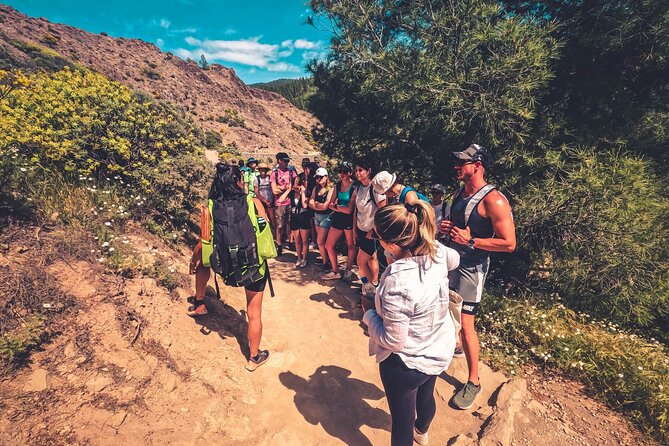 The Volcano Heart Tour: Hiking, Tasting and Sunset Experience - Cruz de Tejeda adds food, craft, and a high pass