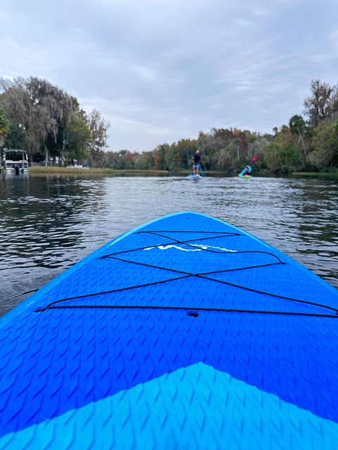 Three Sister Springs: Self Guided Tour- Clear Kayak Rental - A short briefing, then room to choose your route