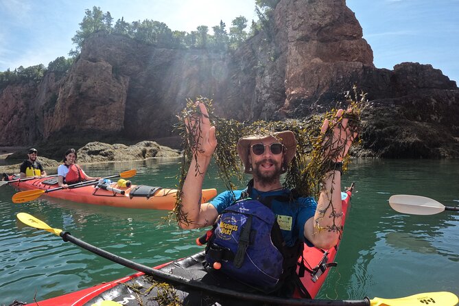 Three Sisters Sea Kayaking Day Tour - What the private format really adds