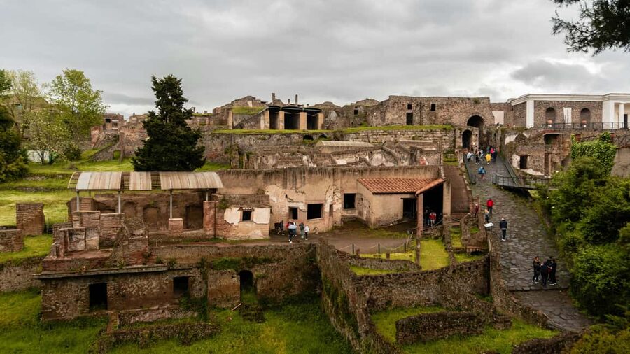 TICKET VESUVIUS SKIP THE LINE WITH SUPPORT ASSISTANCE - Looking into Vesuvius’s crater