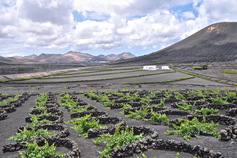 Timanfaya And El Golfo For Cruise Passengers (Mornings) - The Volcano Route and what you actually see