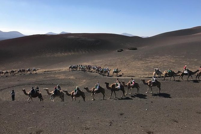 Timanfaya & Lanzarote Volcano Experience - Timanfaya’s geothermal fires and El Diablo Restaurant