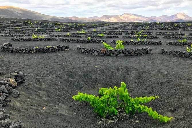 Timanfaya & Lanzarote Volcano Experience - El Golfo and the green lagoon