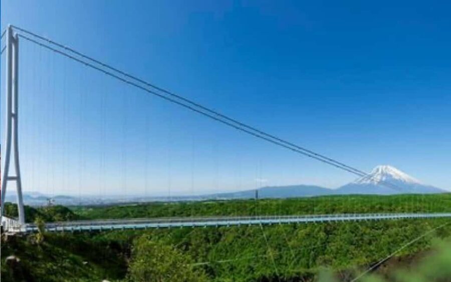 Tokyo:Customizable Private Day Trip to Mt.Fuji & Safari Park - Two very different ways to see Mount Fuji