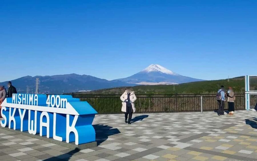 Tokyo:Customizable Private Day Trip to Mt.Fuji & Safari Park - Oshino Hakkai and the classic Fuji view