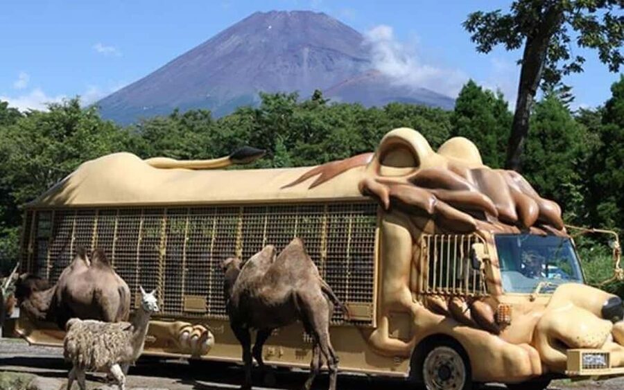Tokyo:Customizable Private Day Trip to Mt.Fuji & Safari Park - Lake Kawaguchiko and the five-lake route