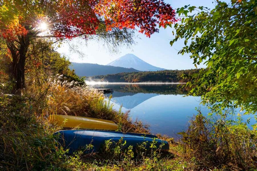 Tokyo:Customizable Private Day Trip to Mt.Fuji & Safari Park - Fuji Safari Park and the jungle bus