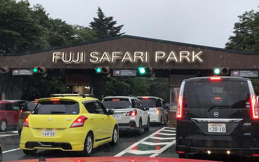 Tokyo:Customizable Private Day Trip to Mt.Fuji & Safari Park - Gotemba, Numazu, and the motor museum