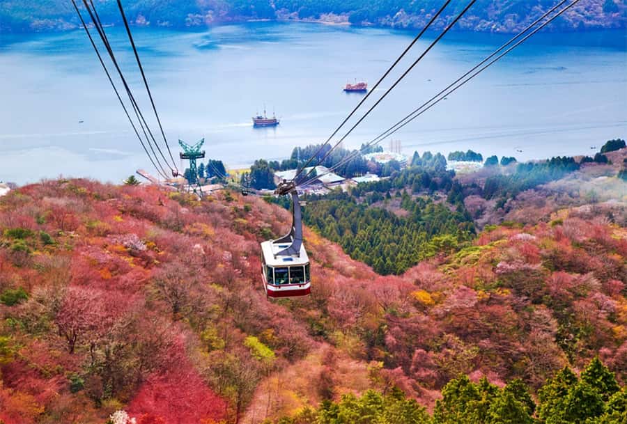 Tokyo: Fuji Cable Car Tour (Ticket Inc.) – Kawaguchiko Views - The Lawson photo stop and Lake Yamanaka