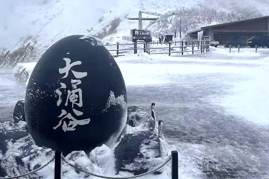 Tokyo: Fuji Cable Car Tour (Ticket Inc.) – Kawaguchiko Views - Traffic, weather, food, and comfort