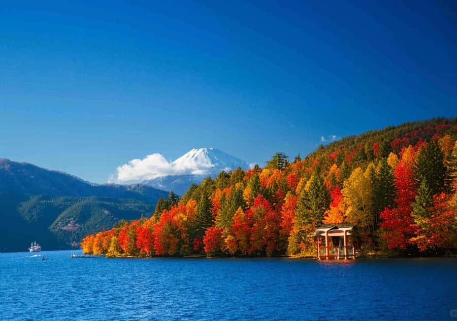 Tokyo: Fuji Cable Car Tour (Ticket Inc.) – Kawaguchiko Views - Who should book this Fuji day trip
