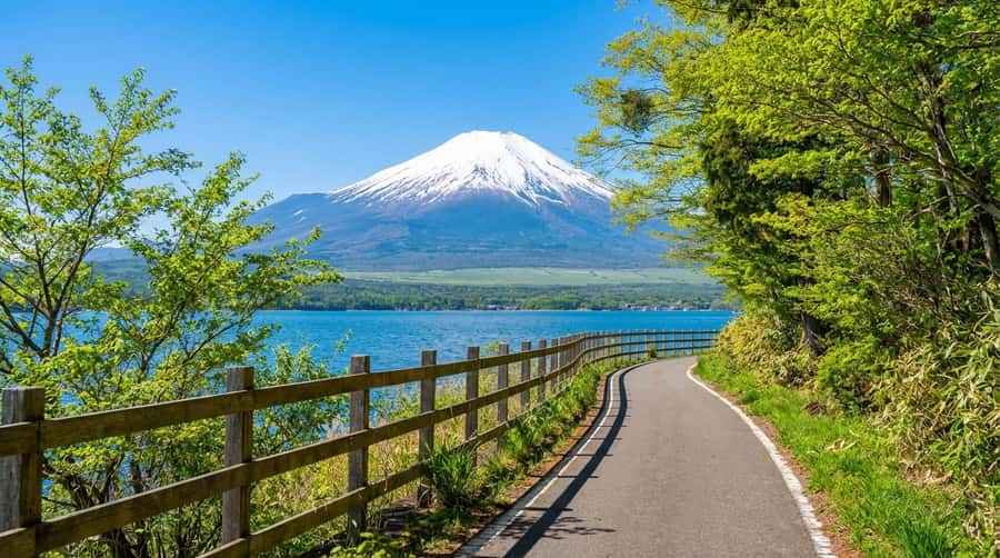 Tokyo: Full-Day Tour of the Six Majestic Spots of Mt Fuji - Why this six-stop Fuji day trip works