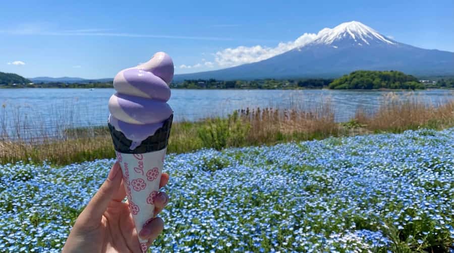 Tokyo: Full-Day Tour of the Six Majestic Spots of Mt Fuji - Arakurayama Sengen Park and the red pagoda