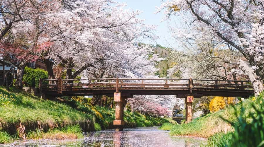 Tokyo: Full-Day Tour of the Six Majestic Spots of Mt Fuji - The famous Lawson Fuji photo stop