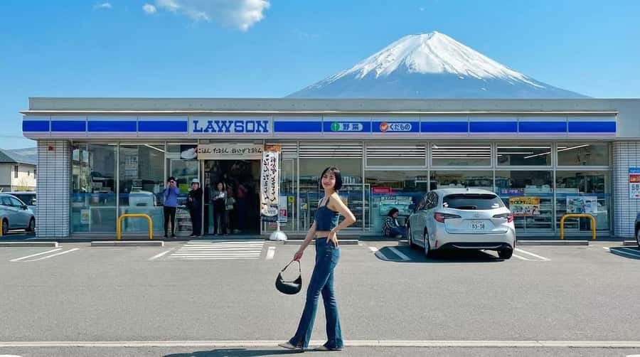 Tokyo: Full-Day Tour of the Six Majestic Spots of Mt Fuji - Who should book this Fuji tour?