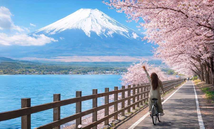 Tokyo: Full-Day Tour of the Six Majestic Spots of Mt Fuji - Hirano Beach and Fuji’s morning reflection
