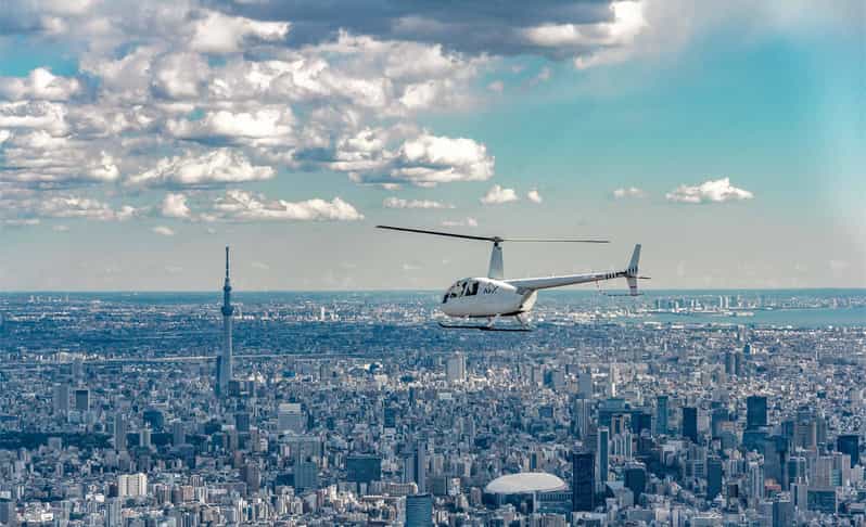 Tokyo: Guided Helicopter Ride - Weather, timing, and practical planning