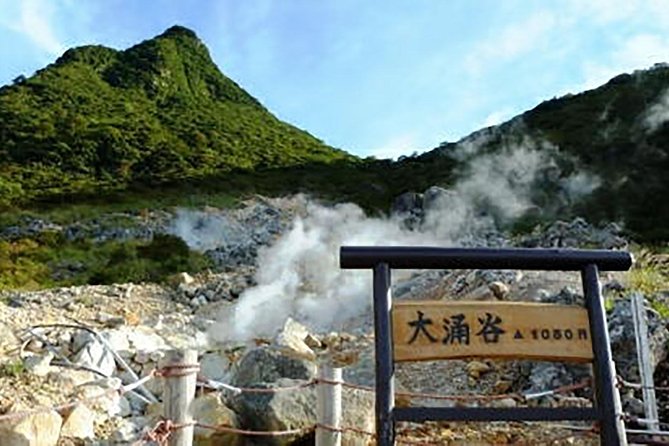 Tokyo: Hakone Fuji Day Tour w/ Cruise, Cable Car, Volcano - Owakudani and the famous seven-year egg