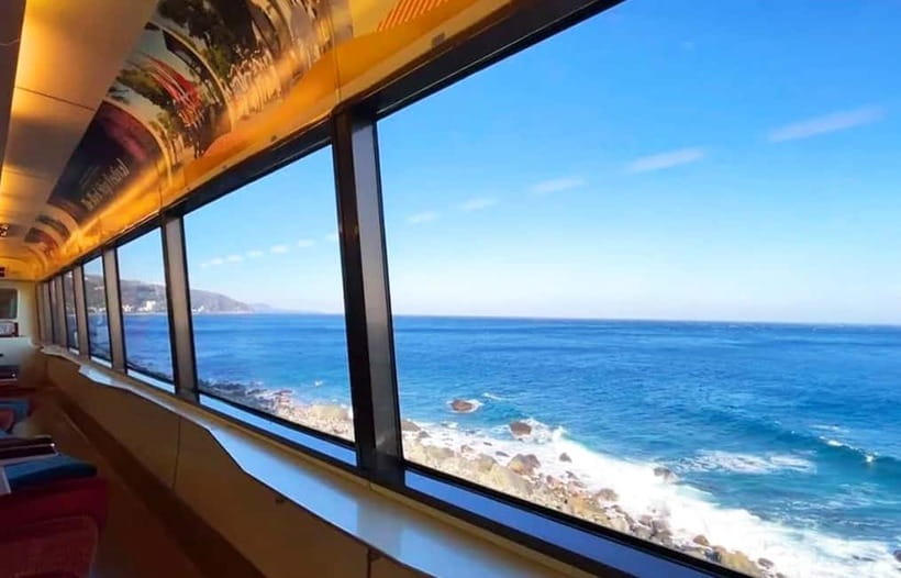 Tokyo: Izu Scenic Oceanview Train, Volcano, Coast Day Trip - Riding the Resort 21 Along the Pacific