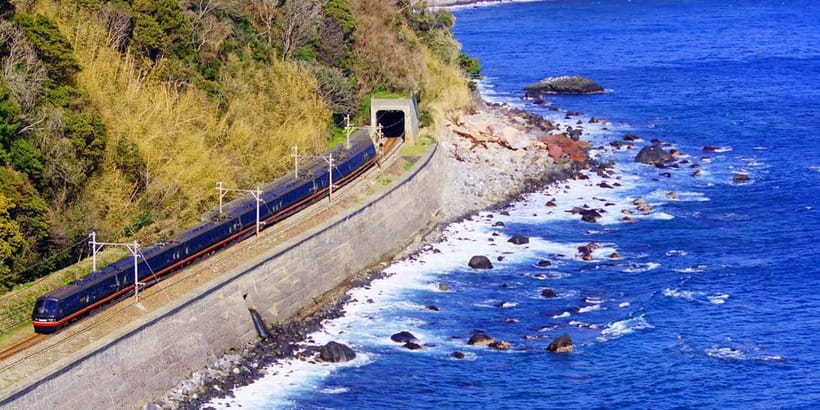 Tokyo: Izu Scenic Oceanview Train, Volcano, Coast Day Trip - Cacti, Kangaroos, and Capybara Baths
