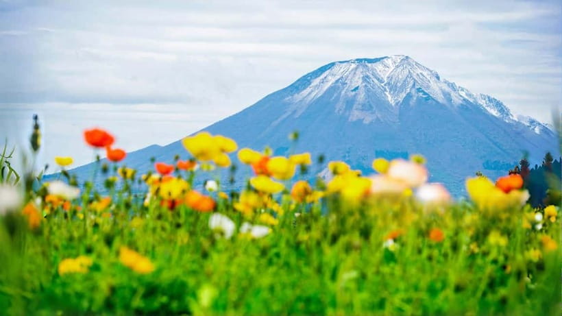 Tokyo: Mount Fuji 5th Station & Onsen Day Trip - A full day from Tokyo to the foot of Fuji