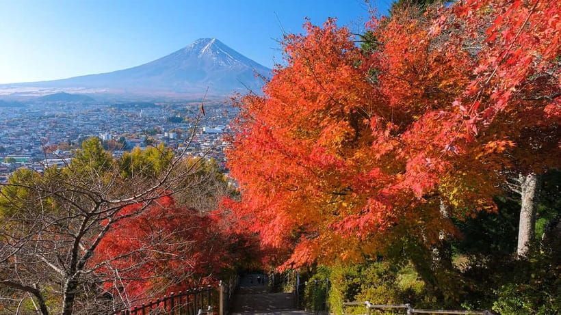 Tokyo: Mount Fuji 5th Station & Onsen Day Trip - Gotemba Premium Outlets as the alternate stop
