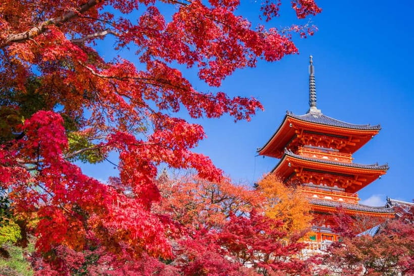 Tokyo: Mount Fuji and Hakone Full Day Tour with Ramen Making - Weather, traffic, and changed plans