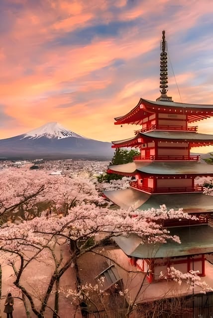 Tokyo: Mount Fuji and Hakone private sightseeing tour - Lake Kawaguchi, the ropeway, and Oishi Park