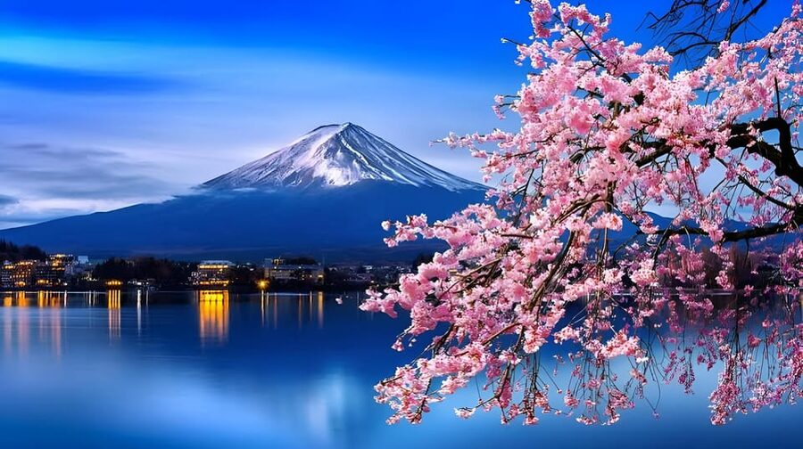 Tokyo: Mount Fuji and Hakone private sightseeing tour - Choose Fuji views or a Hakone day