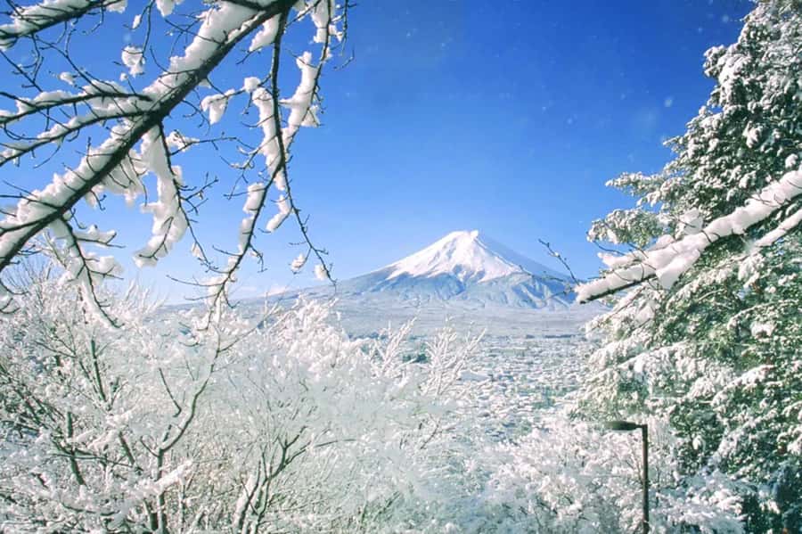 Tokyo: Mount Fuji Day Trip with Scenic & Local Stops - Oshino Hakkai and its clear spring ponds