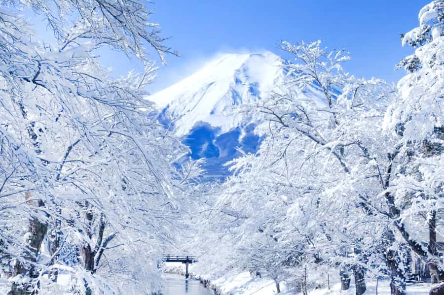 Tokyo: Mount Fuji Day Trip with Scenic & Local Stops - Lake Kawaguchi, Fuji’s most flexible viewpoint