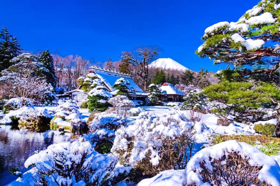 Tokyo: Mount Fuji Day Trip with Scenic & Local Stops - Fuji Lawson and the playful convenience-store shot