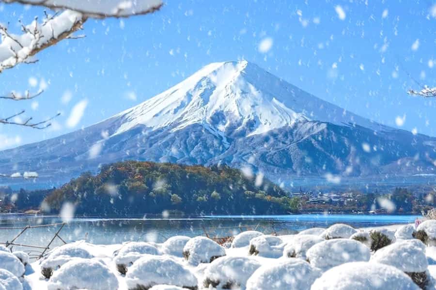 Tokyo: Mount Fuji Day Trip with Scenic & Local Stops - Lake Yamanaka and feeding the swans
