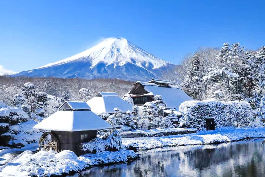 Tokyo: Mount Fuji Day Trip with Scenic & Local Stops - Transport, timing, and the cost of convenience