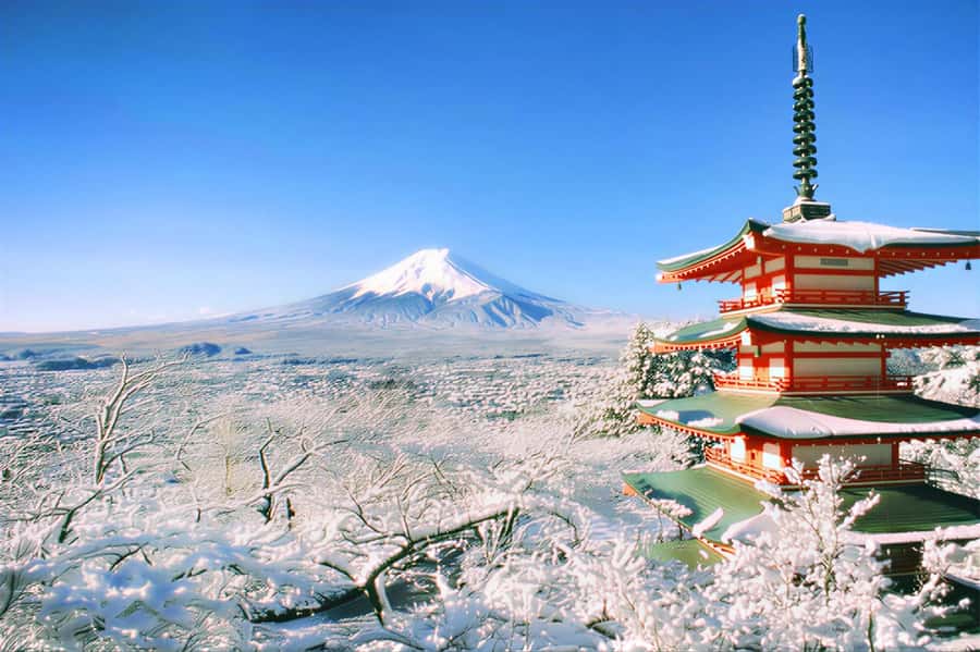 Tokyo: Mount Fuji Day Trip with Scenic & Local Stops - Hikawa Clock Shop and a retro street view