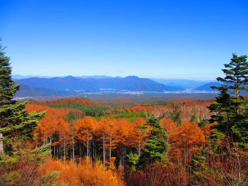Tokyo: Mount Fuji, Gotemba & Hakone Day Trip by Luxury Bus - Meeting at Shinjuku Center Building